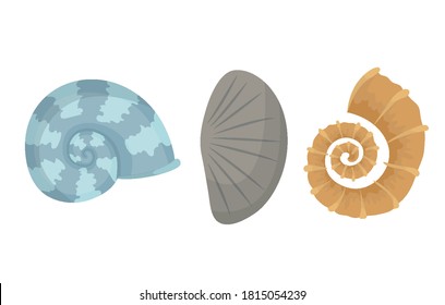 Colorful tropical sea shells underwater icon collection. Marine set cute stickers on the white background. Vector illustration. Perfect for invitations, greeting cards posters banners and flyer
