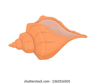 Colorful tropical shell. Summer concept with shells, sea shell. Vector illustration.