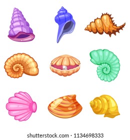 Colorful tropical shells underwater icon set frame of sea shells, cartoon style. Vector illustration.