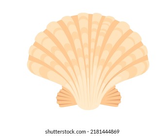 Colorful tropical underwater shell cartoon design vector illustration isolated on white background