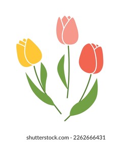 colorful tulip flowers - vector illustration