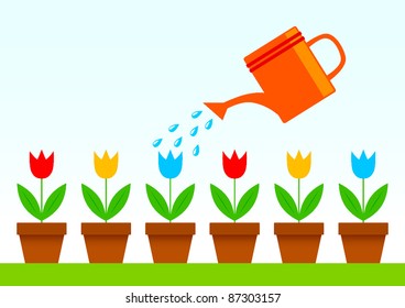 Colorful tulips
