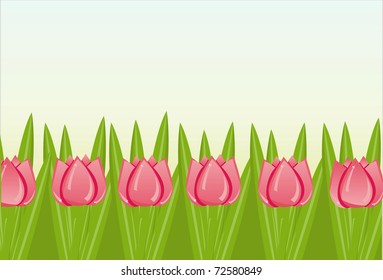 colorful tulips background