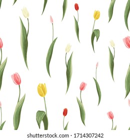 Colorful tulips background. Seamless pattern with tulips different colors: red, pink, yellow, white. Floral print for spring holiday decoration designs.
