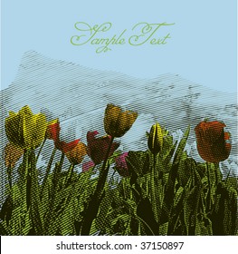 Colorful Tulips Cover (Engraved Retro Style Vector)