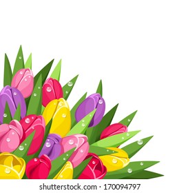 Colorful tulips with dew drops. Vector illustration.