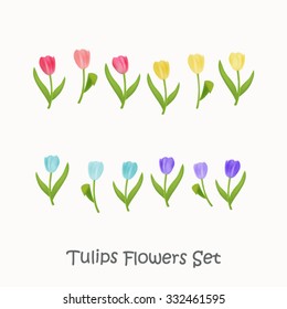 Colorful tulips flowers illustration vector set isolated on white background, spring floral elements for cards, posters and printing.