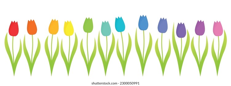 Colorful tulips, rainbow gradient set of twelve colorful flowers in a row. Isolated vector illustration on white background.
