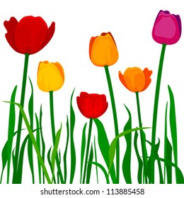 Colorful tulips. Stylized  tulips. Fully editable - change colors, scale to any size