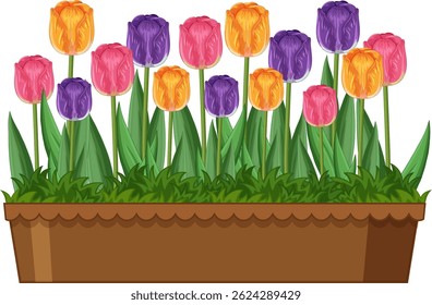 Colorful tulips in a wooden planter, showcasing vibrant hues and lush green leaves in a vector illustration style