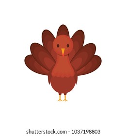 colorful turkey over white background  vector illustration