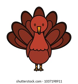 colorful turkey thanksgiving over white background  vector illustration