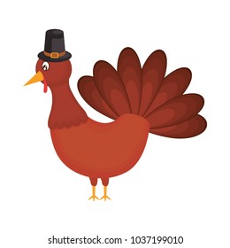 colorful turkey thanksgiving over white background  vector illustration