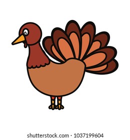 colorful turkey thanksgiving over white background  vector illustration