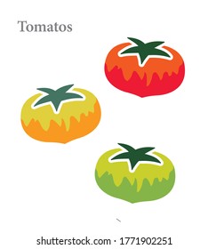 Colorful two tone tomato Vector Illustration
