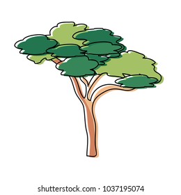 Colorful umbrella stone pine  tree vector illustration