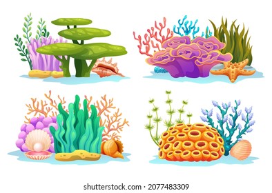 Colorful Undersea Coral Reefs With Algae, Seaweed And Seashells In Various Types Cartoon Illustration