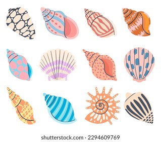 Colorful underwater conches of mollusk and sea snail. Vector of ocean shell, snail and conch, marine nature mollusk illustration