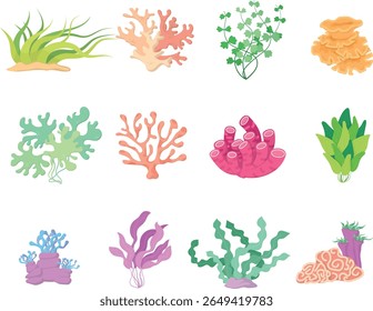 Plantas Subaquáticas Coloridas e Coleção de Vetores de Coral para Materiais Educacionais, Ilustrações Marinhas e Decoração de Aquário