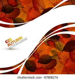 Colorful vector autumn background with place for your text