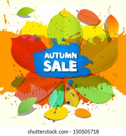 Colorful Vector Autumn Sale Background 