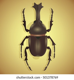 Colorful vector of big beetle with horns, wings. Vector Rhino beetle flying. Insect isolated