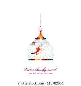 Colorful vector bird in cage