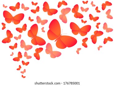Colorful vector butterflies on white