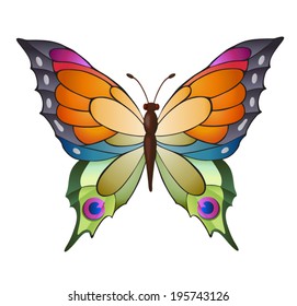 colorful vector butterfly
