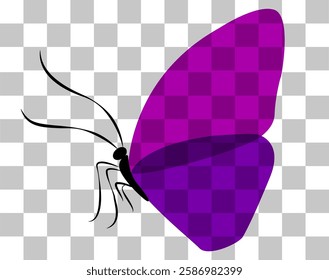 Colorful vector butterfly design with transparent background and detailed wing structure seen from the side