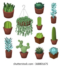 Colorful vector cactus and succulent set. Elements for invitations, greeting cards, covers and other items.