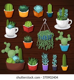 Colorful vector cactus and succulent set. Elements for invitations, greeting cards, covers and other items. 