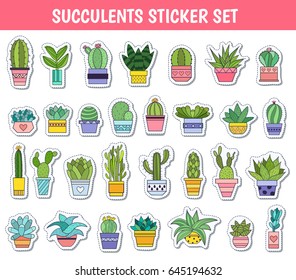Colorful vector cactus and succulent set. Elements for invitations, greeting cards, covers and other items.