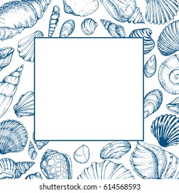 Colorful vector card with sea shells. Hand drawn vintage sketch elements of engraving. Nautical background. Frame.