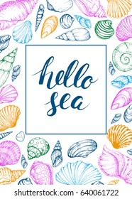Colorful vector card with seashells and handwritten inscription Hello sea. Hand drawn vintage sketch elements of engraving. Nautical background. Modern brush lettering and calligraphy.