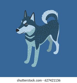 Colorful vector cartoon illustration of cute husky dog with black and white coat and blue eyes. Isometric projection. Blue background.