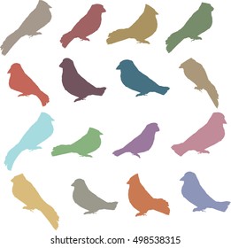 Colorful Vector Collection of Bird Silhouettes 