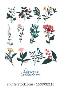 Colorful vector collection of flower drawings. Botanical illustration. Flowers, leaves. Decoration for cards, invitations, posters. 