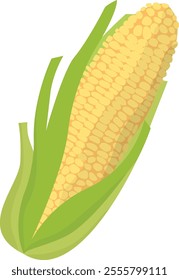 colorful vector corn illustration. vegetable clip art. 