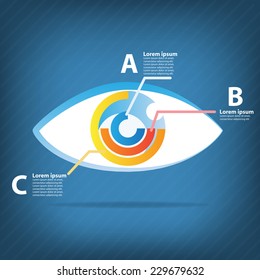 Colorful vector design for workflow layout, diagram, number options, web design, presentation template, infographics.