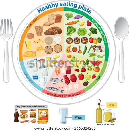 Colorful vector diagram of a balanced meal plate, categorizing food groups with labeled sections, flat design style, and clear visual organization