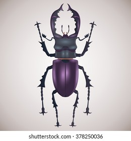 Colorful vector drawing of big beetle with horns. Stag beetle.. Vector illustration