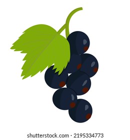 A colorful vector drawing of a blackcurrant that is great for stickers, cards, icons and more.