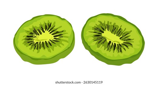 Colorful vector drawing of two dried kiwi slices on white background, perfect for healthy snack, food packaging, or nutrition themes