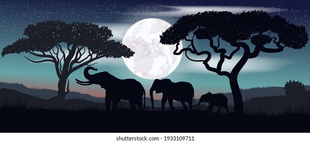 Colorful vector. Family of elephants. Safari.