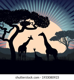 Colorful vector. Family of giraffes. Safari.