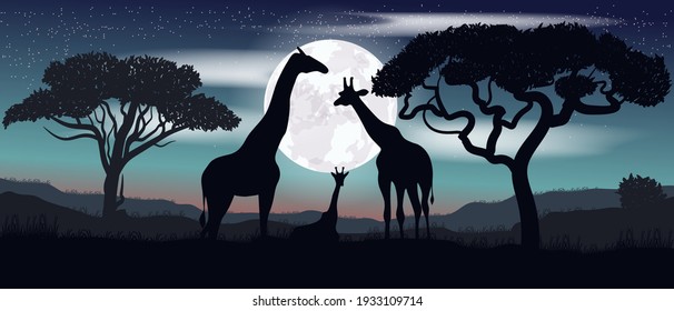 Colorful vector. Family of giraffes. Safari.