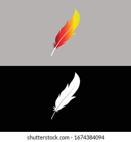 Colorful vector feather logo design for company.