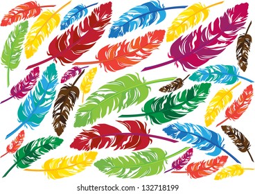 colorful vector feathers background