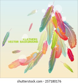 colorful vector feathers. vector illustration. isolated. 